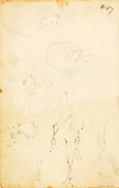 (Badania - figury, kłoda, koń i jeździec itp.). autorstwa William Page