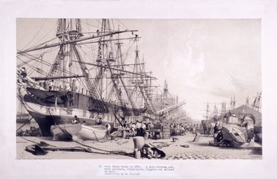 West India Docks, Topola, Londyn, 1830 autorstwa William Parrott