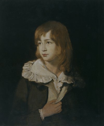 Portret chłopca, John Parry of Garden, ok. 1788-89 (olej na płótnie) autorstwa William Parry