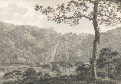 Wodospady w Powerscourt, Co. Wicklow, Irlandia (toaleta na papierze) autorstwa William Pars
