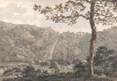 The Falls w Powerscourt, hrabstwo Wicklow, Irlandia autorstwa William Pars
