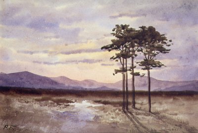 Sunset, County Sligo (akwarela na papierze) autorstwa William Percy French
