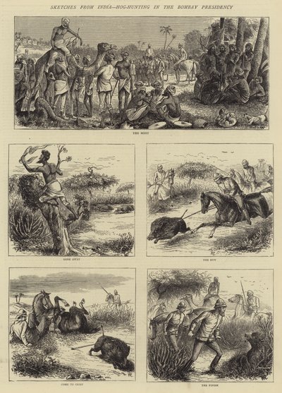 Szkice z Indii, Hog-Hunting w Bombaju Prezydencji autorstwa William Ralston