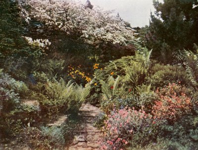  autorstwa William Ransford