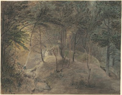 Widok ze Źródełka w Echo autorstwa William Russell Birch