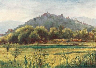 Cagnes, wieczór (druk kolorowy) autorstwa William Scott
