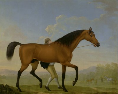 Książę Ancasters Bay Stallion, Blank, idzie w kierunku Mare autorstwa William Shaw