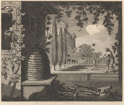 Zdegenerowane pszczoły autorstwa William Skelton