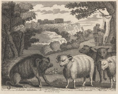 polish autorstwa William Skelton