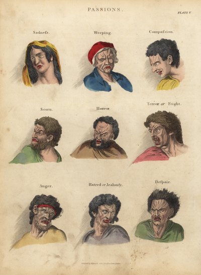 Pasje z fizjonomii autorstwa William Smellie