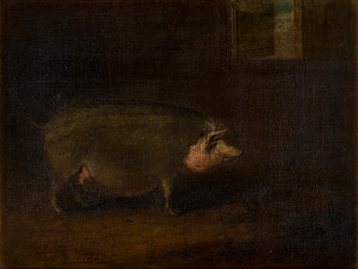 Świnia w chlewie, ok.1823 (olej na płótnie) autorstwa William Smith