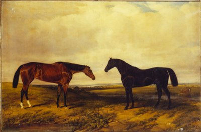 Jasnogniada klaczka i ciemnogniady ogier hrabiego Granarda, 1885 autorstwa William Snr. Luker