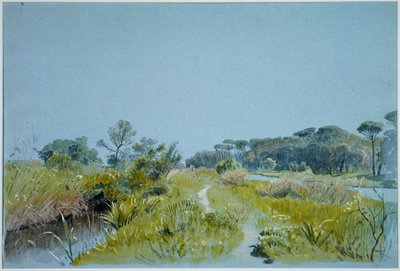  autorstwa William Stanley Haseltine