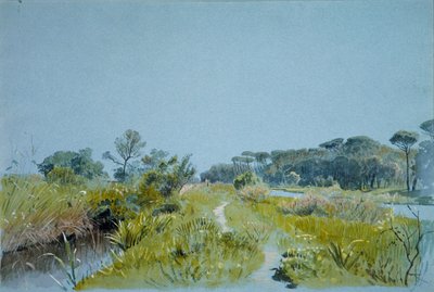 Castel Fusano niedaleko Rzymu, ca. 1885. autorstwa William Stanley Haseltine