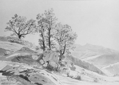  autorstwa William Stanley Haseltine