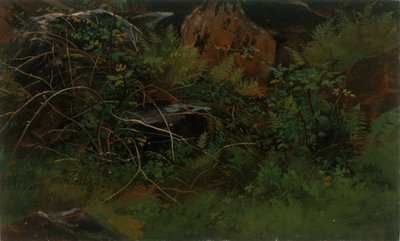 Studiuj z natury. autorstwa William Stanley Haseltine