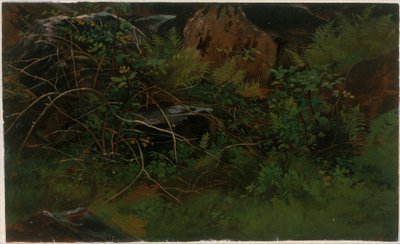  autorstwa William Stanley Haseltine