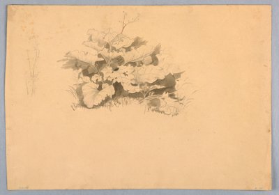 Badanie liści autorstwa William Stanley Haseltine