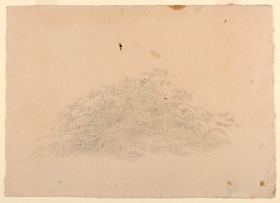 Badanie liści autorstwa William Stanley Haseltine