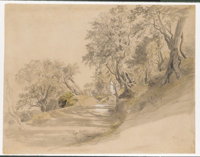  autorstwa William Stanley Haseltine
