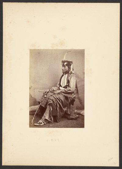 [Siedzący w siodle, czyli Tau-ankia, Syn Samotnego Wilka]. autorstwa William Stinson Soule
