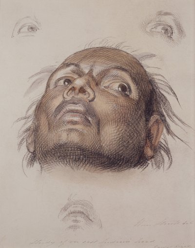 Studium głowy wschodniego Indianina, ok. 1875 (kredka i farba na papierze) autorstwa William Strutt