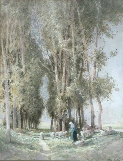 Pasterka i jej stadko, Holandia (akwarela na papierze) autorstwa William Tatton Winter