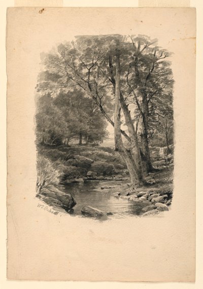 Rysunek, Basen w lesie, 1874 r. autorstwa William Trost Richards