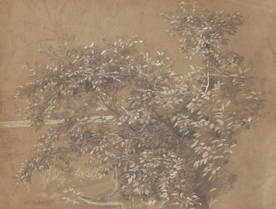 Listowie autorstwa William Trost Richards