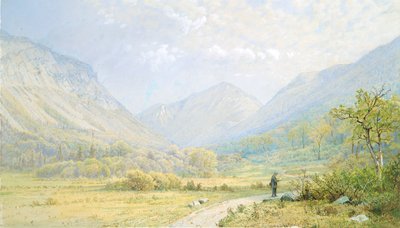 Franconia Notch, New Hampshire autorstwa William Trost Richards