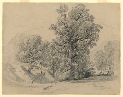 Krajobraz, Lauterbrunnen, Szwajcaria autorstwa William Trost Richards