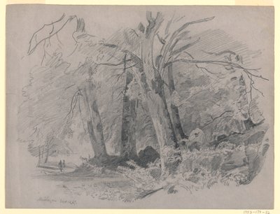 Krajobraz, Meiringen, Szwajcaria autorstwa William Trost Richards