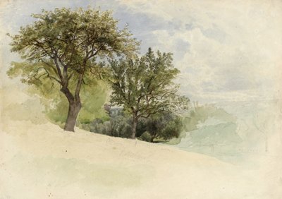 Krajobraz z drzewami na wzgórzu, 1880-85 (toaleta, grafit i białe akcenty gwaszu na kremowym grubym papierze) autorstwa William Trost Richards