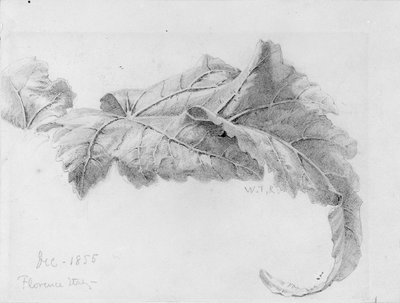 Liście autorstwa William Trost Richards