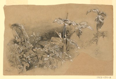 Badanie liści autorstwa William Trost Richards
