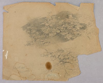 Badanie liści autorstwa William Trost Richards