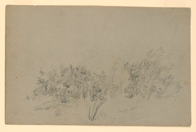 Badanie liści autorstwa William Trost Richards