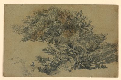 Badanie liści autorstwa William Trost Richards