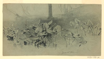 Badanie liści autorstwa William Trost Richards
