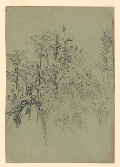 Badanie liści autorstwa William Trost Richards