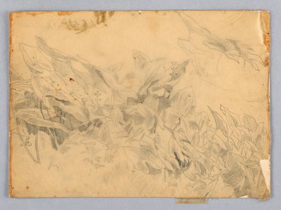 Badanie liści autorstwa William Trost Richards