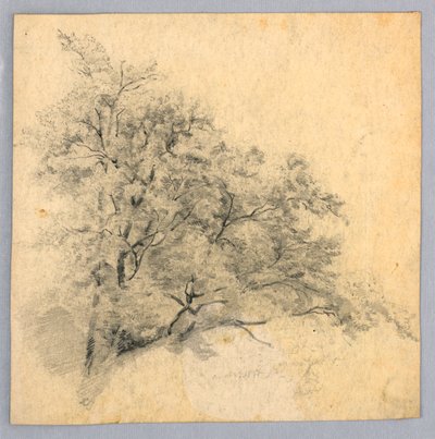 Badanie liści autorstwa William Trost Richards