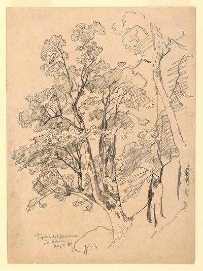 Badanie listowia, Trachselwald, Berno, Szwajcaria autorstwa William Trost Richards