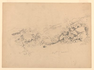 Badanie listowia, Trachselwald, Berno, Szwajcaria autorstwa William Trost Richards