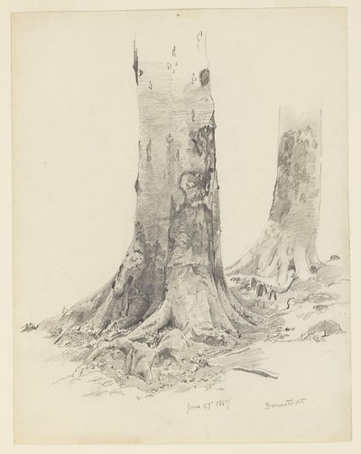 Pnie Drzew, Darmstadt autorstwa William Trost Richards