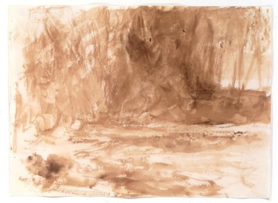 Studium na rzece Washburn, Yorkshire autorstwa Joseph Mallord William Turner