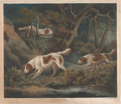 [Strzelanie]: Setery autorstwa William Ward
