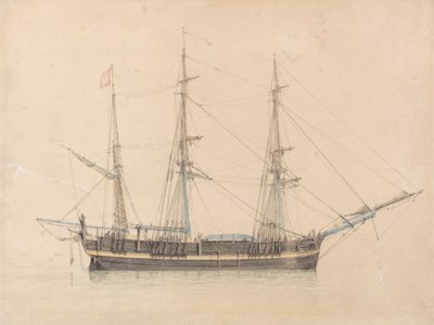 Wielorybnik „Truelove” z Hull autorstwa William Ward