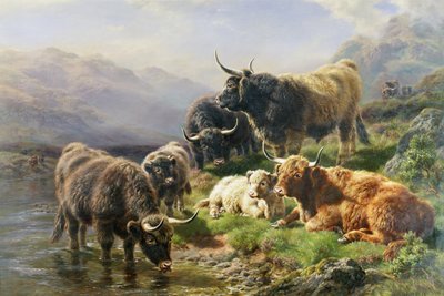 Bydło wyżynne autorstwa William Watson
