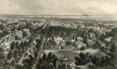 „Miasto Buffalo”, 1872. autorstwa William Wellstood